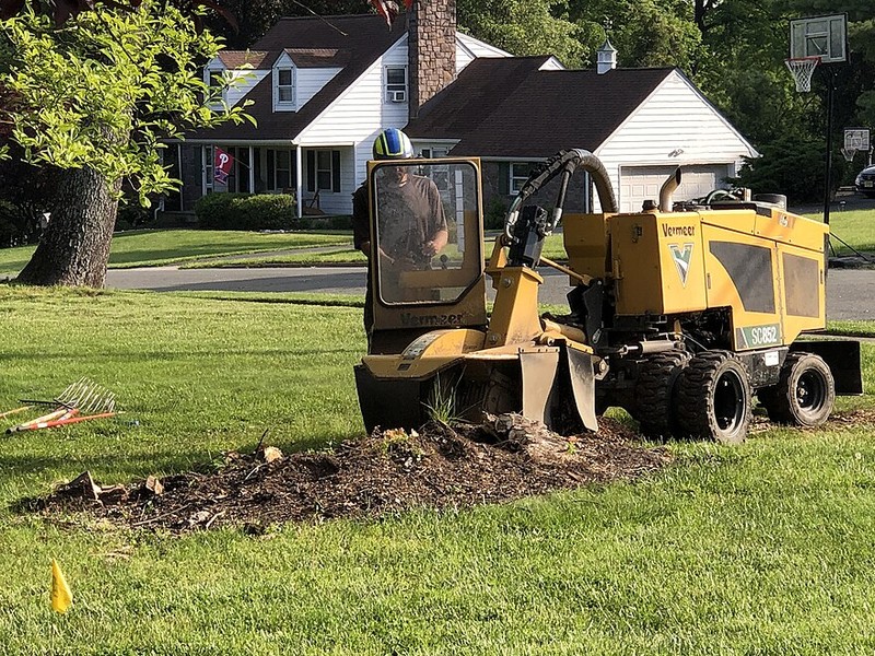 Below-grade tree stump grinding and surface root removal by Liberty Land Services